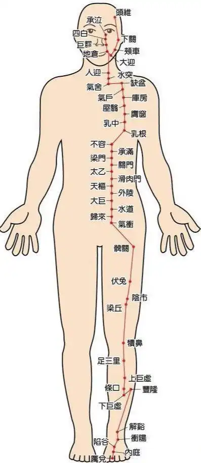 足阳明胃经足厥阴肝经经过现代研究显示,麦芽具有抑制产妇身体的催乳