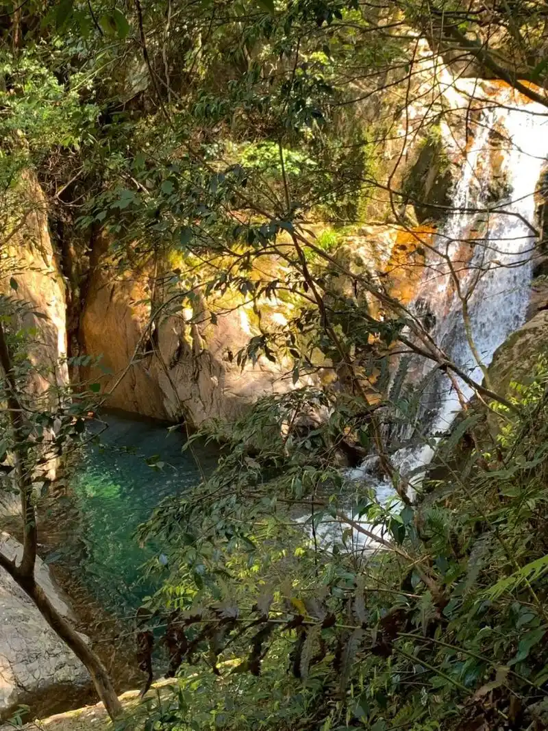 宁波徒步96|中坡山森林公园979906 01中坡山森林公园 99