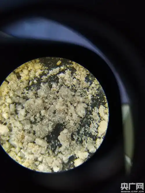 40倍显微镜下的盐(央广网发 青海油田供图)