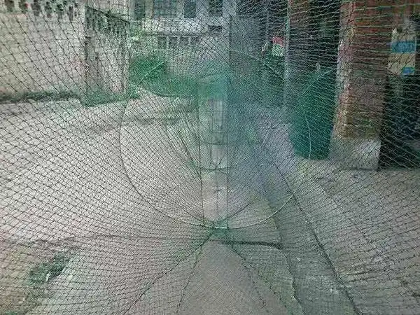 迷魂阵1 - 沅江市福利渔网加工厂