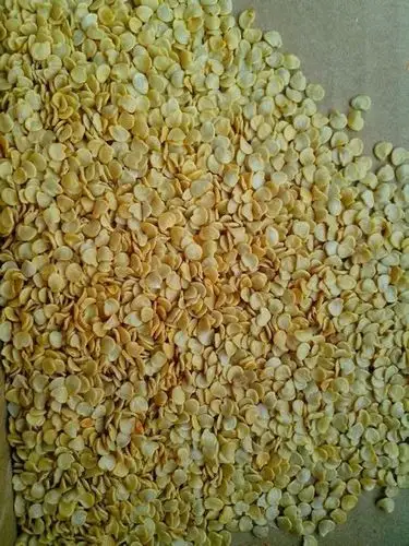 珊瑚豆果实籽的颜色