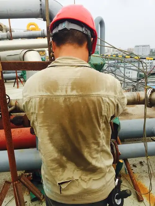 他们丝毫不懈怠,被汗水浸透的背影依旧忙碌不停歇