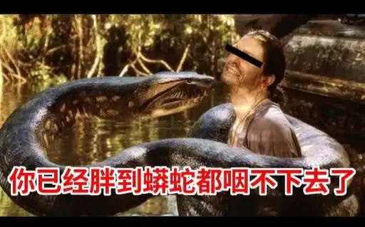 通常来说,好像一般蟒蛇小时候会比较凶(emmm,那么小,天敌多,自然要