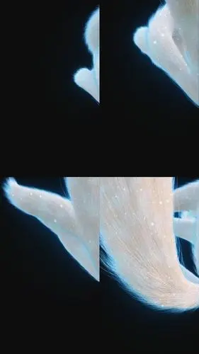 九尾狐尾巴侧面带通道_1080x1920_高清视频素材下载(编号:4453624)