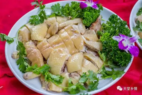 流晒口水!新兴十八道特色菜推荐,每一道菜都超吸引