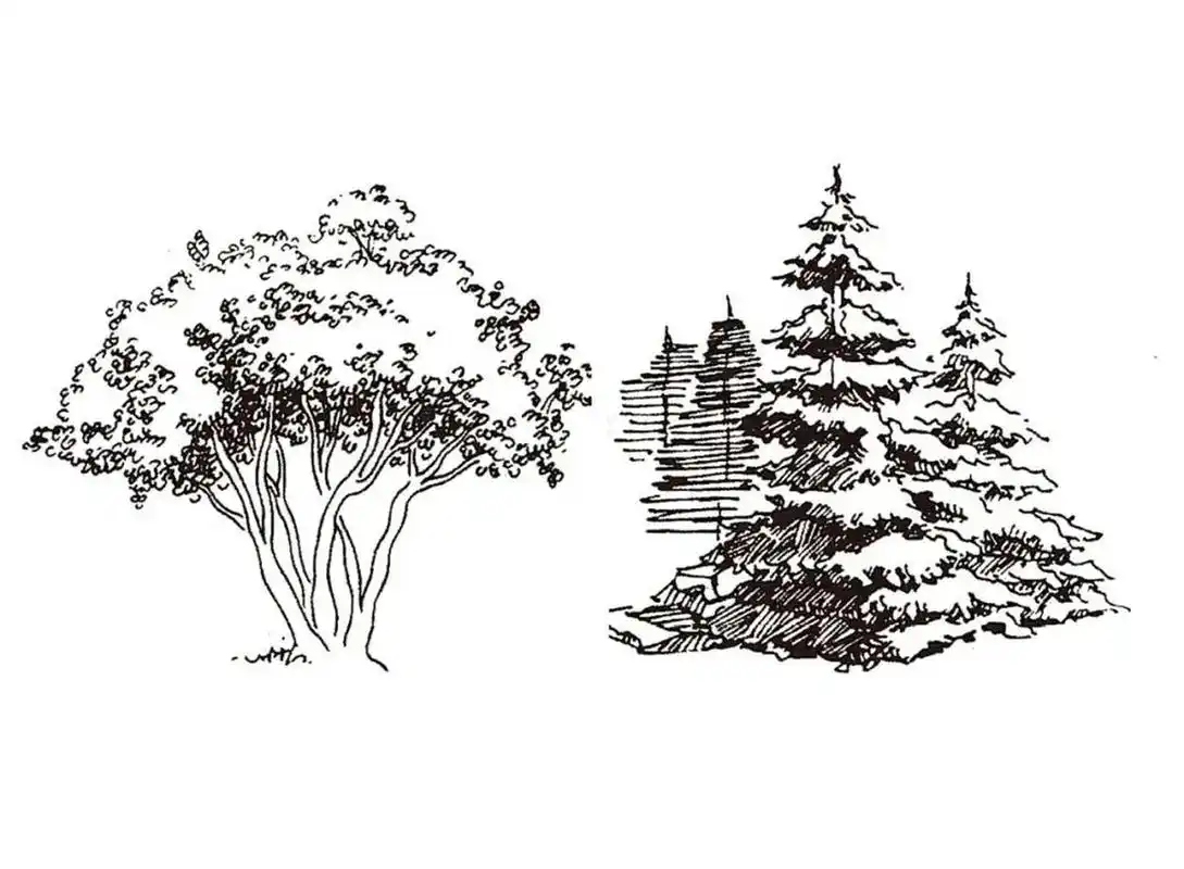 风景速写中树的画法,风景画中的黑白灰不同于素描的光影明暗调子,而是