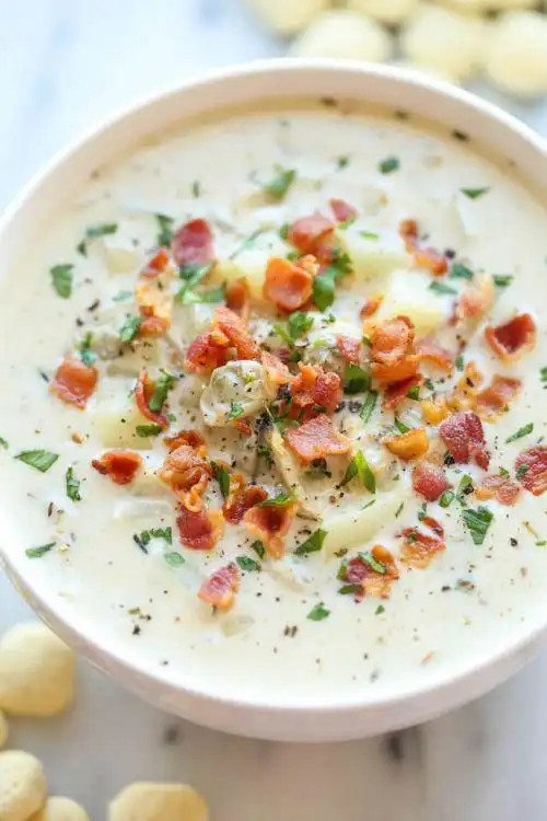 clam chowder