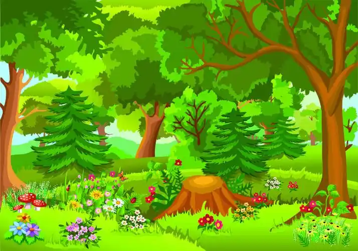 绿色的森林矢量插图
