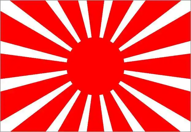 日本国旗变化历史(日本国旗的历史)(3)