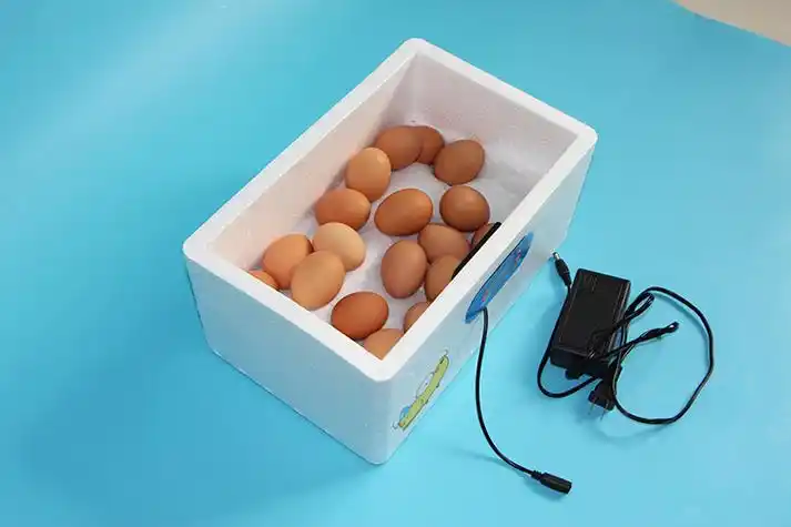 孵化机全自动家用型小鸡小型鸟蛋孵化器水床孵蛋器鸽子孵化箱