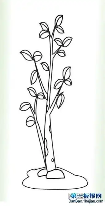 小树快快长大简笔画