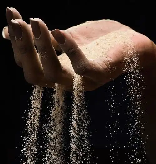 鱼苗a04:办公室爱情故事