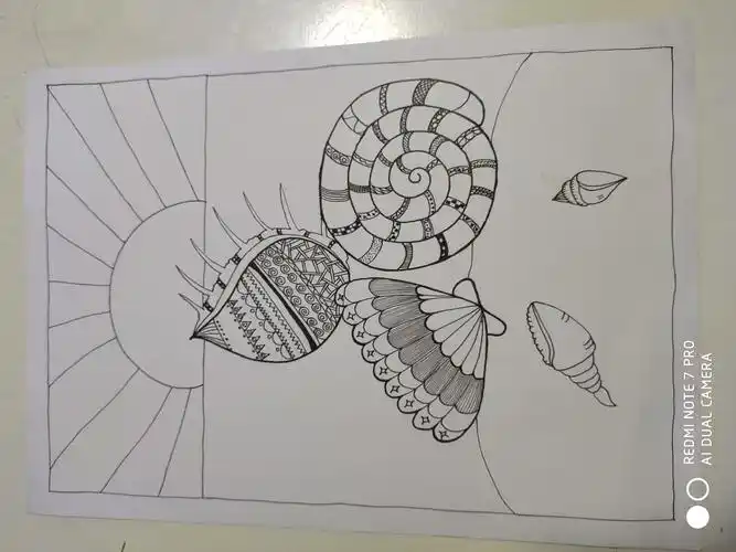 画一幅创意线描画--沙滩贝壳