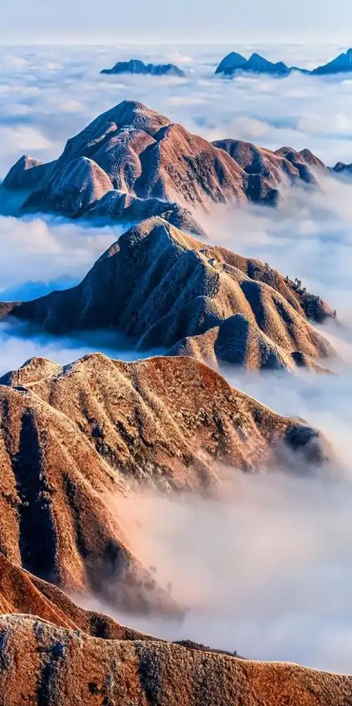 江南都市报讯 全媒体记者段萍,实习生胡雅婷摄影报道