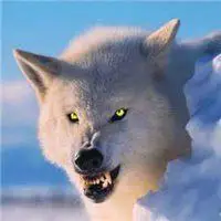 爱奇艺头像大全霸气 霸气爱奇艺会员头像_微信头像图片大全