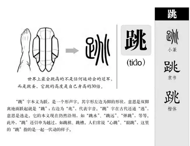 跳的部首|跳的拼音|跳的组词|跳的意思 - 查字典