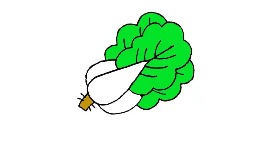 青菜简笔画