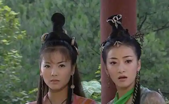 在2006版电视剧《白蛇传》中,白素贞为救小青赠于法海是本剧中白素贞