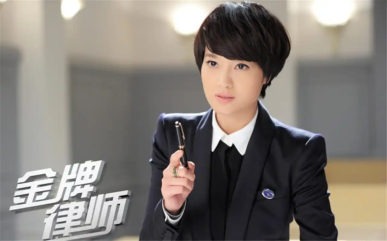 电视剧金牌律师人物剧照桌面壁纸高清