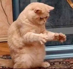 用手比划这么大的表情包