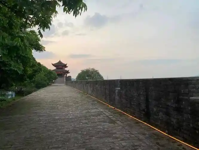 【徽韵江西】江西三大赏春胜地:婺源油菜花 赣州樱花