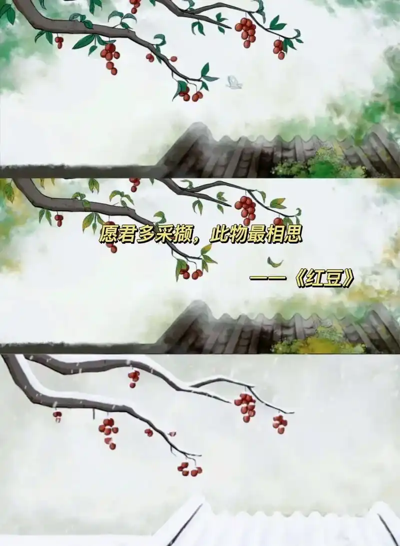 "这不是普通的红豆,这是王维诗里的红豆"#红豆相思#无关风月 - 抖音