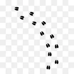 小牛的脚印像什么图片牛的脚印形状图片2022已更新今日推荐