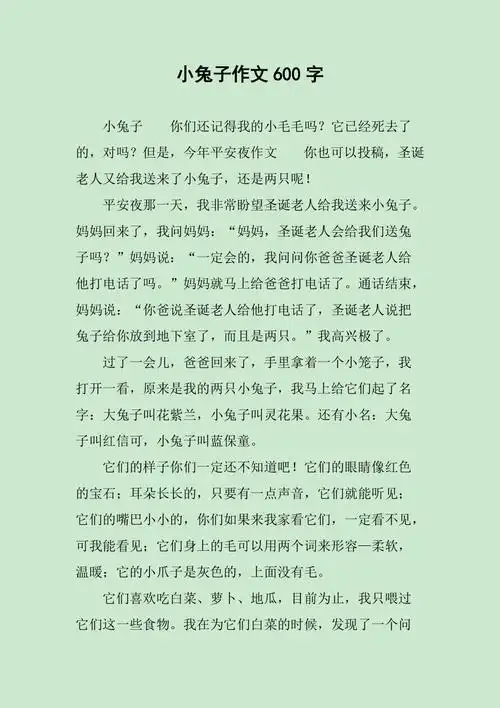 小兔子作文600字