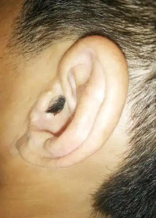 驾考最强作弊党塞了一大坨耳毛被发现考个科一至于吗