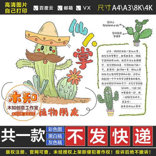 160植物观察记录仙人掌手抄报黑白线稿模板电子版半成品可涂色