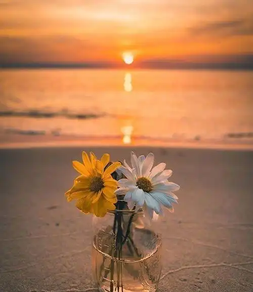 让自己释怀的心情句子温暖豁达吸引人点赞