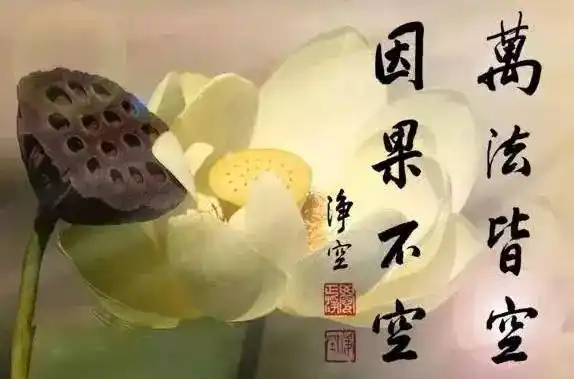 婚外恋的因果报应,结婚的,未婚的,离婚的都要看