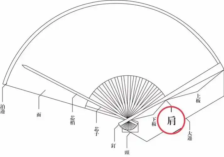 文玩折扇的常见肩形有哪些