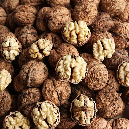 新货云南特产薄皮核桃野生原生态黑核桃丑核桃孕妇坚果零食年货 野生