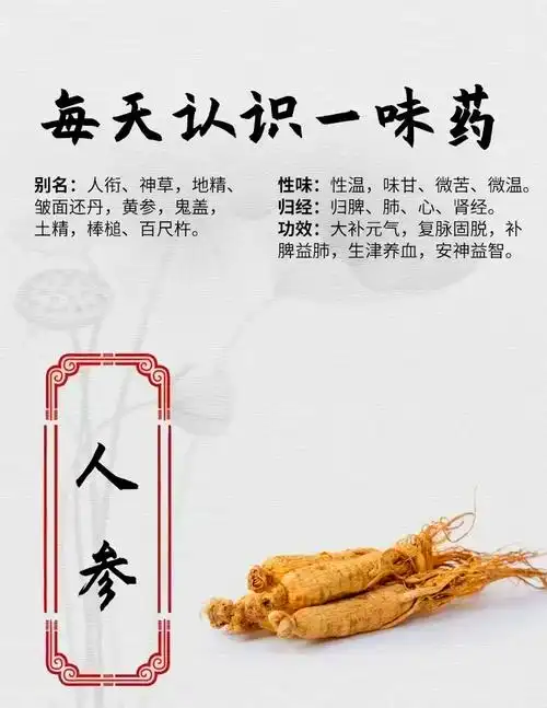 人参:补气养血的神器 🌿