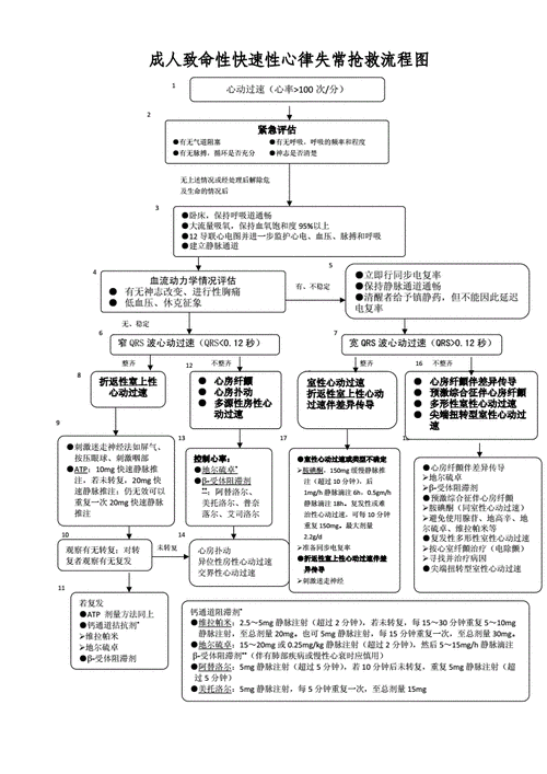 成人致命性快速性心律失常抢救流程图doc2页