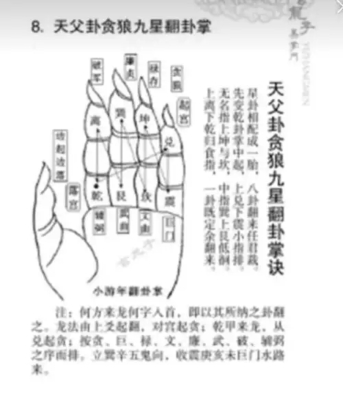 熟练掌握翻卦掌运作的法则之后,就可以把大游年套在翻卦掌里了.