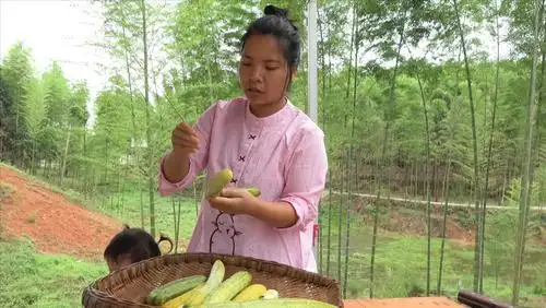 农村小英子的个人主页 - 西瓜视频