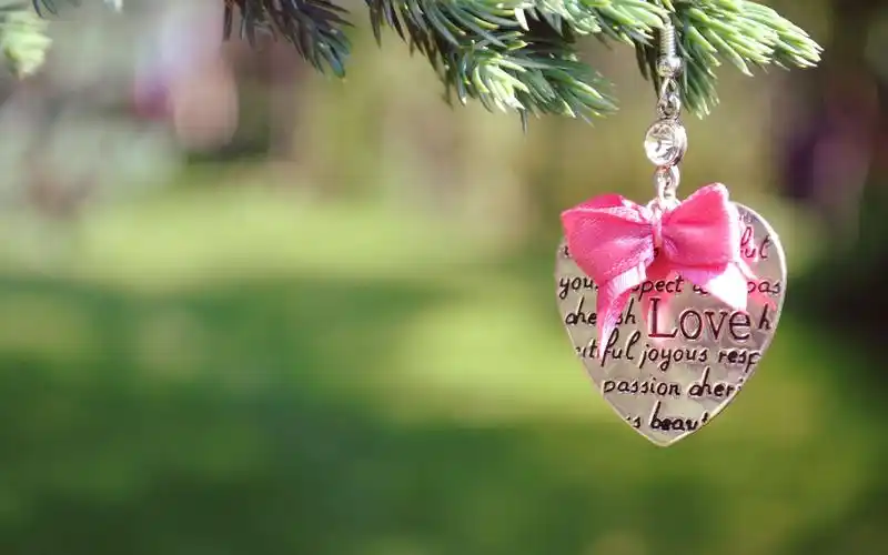 抓拍温暖瞬间-----枣杭小学记录你的美