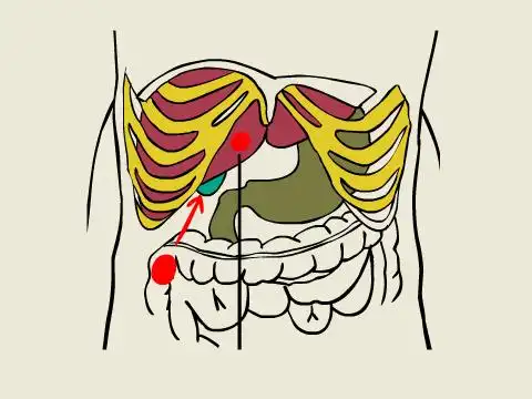 中心动态-赴美就医-远程会诊-大通福克斯美国本土机构