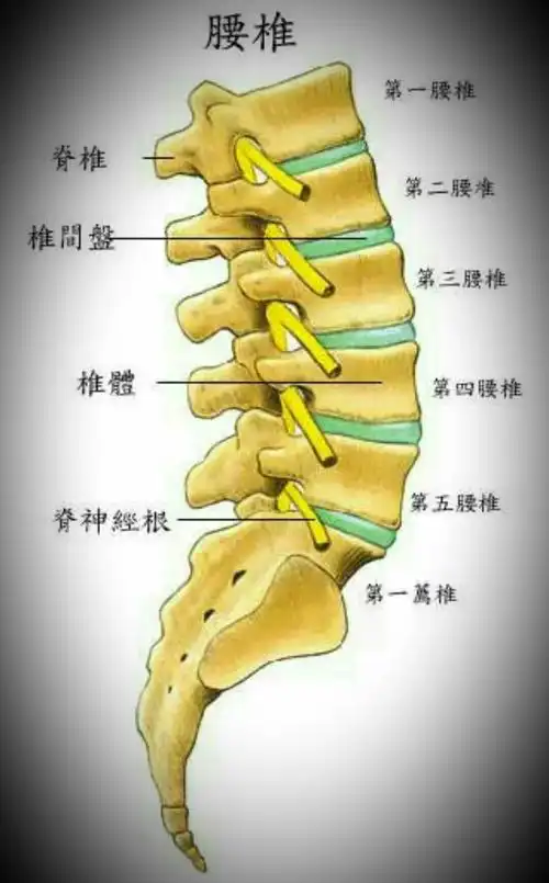 "建亮整脊"腰椎间盘突出图片一揽!请收藏!