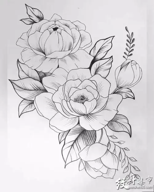 黑灰玫瑰纹身,黑灰玫瑰纹身手稿,黑灰玫瑰纹身手稿图案