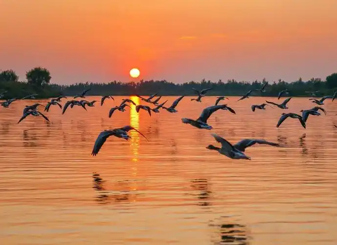 美丽江苏每日一景丨盐城盐都大纵湖碧水蓝天映初冬