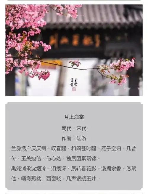 一帘春色入梦来,盘点最美诗词之海棠