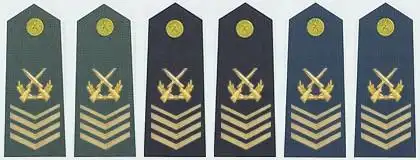 中国的军衔和军官资历