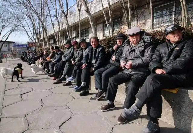 我们村里有十几个老头,每天坐在一起晒太阳,我爷爷就是其中之一,他们