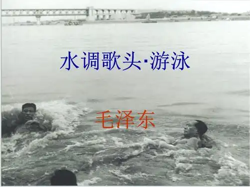 水调歌头游泳教学.pptx