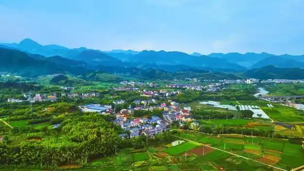 龙岗镇龙上村龙井村临安寻龙