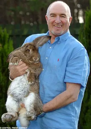 世界最大兔子重22公斤 住狗窝[组图]