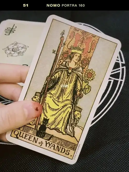 每日学习塔罗牌|权杖皇后解析|正逆位96